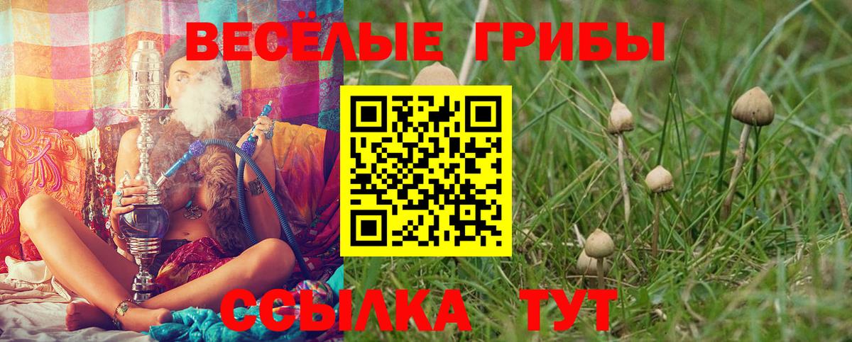 Галлюциногенные грибы прущие грибы  Вход с VPN  Галлюциногенные грибы MAGIC MUSHROOMS  Дедовск 
